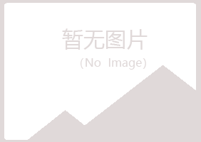 青岛黄岛错过培训有限公司